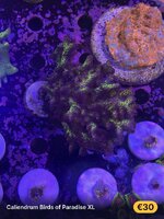 IMG_4279.jpeg IMG_4279.jpeg
