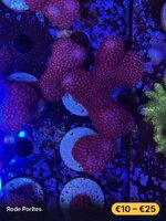 IMG_4278.jpeg IMG_4278.jpeg