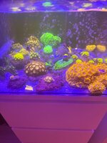 IMG_6852.jpeg