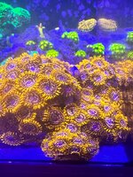 IMG_6853.jpeg