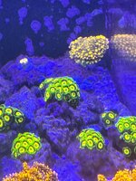 IMG_6854.jpeg