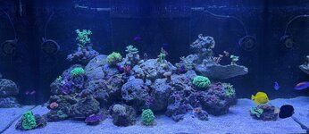 IMG_4636.jpeg