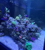 IMG_4634.jpeg