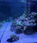 IMG_4635.jpeg
