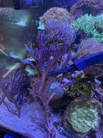 IMG_2325.jpeg