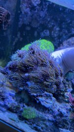IMG_7147.jpeg