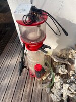 IMG_1431.jpeg