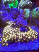 IMG_6901.jpeg