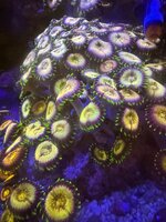 IMG_6902.jpeg