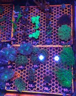 20261006_134832.jpg
