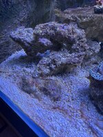 IMG_7684.jpeg