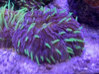 IMG_8603.jpeg