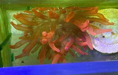 93b78135-0c94-4d6d-b641-c1a94f654cca.jpg