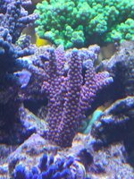 20261011_174058.jpg