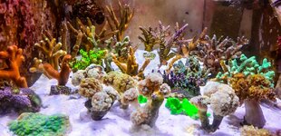 51-sump 26-9.jpg