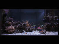 500 liter in wall 17-10-2026-18.jpg