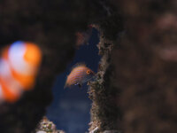 500 liter in wall 17-10-2026-30.jpg