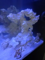 20261021_165723.jpg