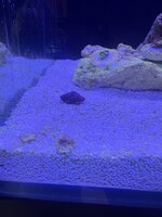 IMG_3114.jpeg