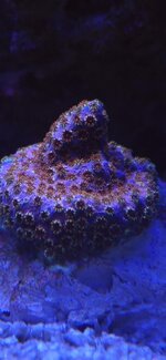 20261023_203754.jpg