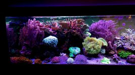 20261023_232043.jpg
