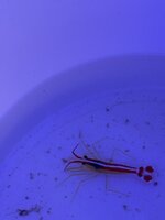IMG_7089.jpeg