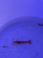 IMG_7090.jpeg