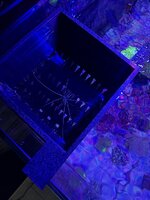 IMG_7093.jpeg