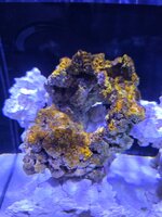 20261025_175934.jpg