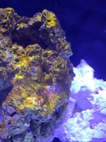 20261026_140119.jpg