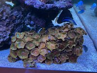 IMG_1364.jpeg