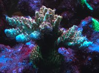 20261026_223824.jpg