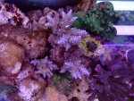 DSCF0972.JPG