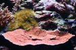 IMG_3940.JPG