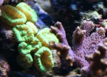 IMG_3328.JPG