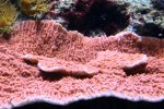 IMG_4054.JPG