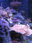 IMG_1326.jpg