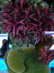 DSCN9779.jpg