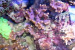 IMG_4892.JPG