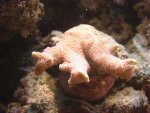 DSC00696.JPG