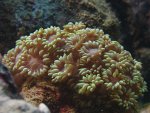 DSC00721.JPG