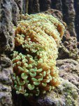 DSC00709.JPG
