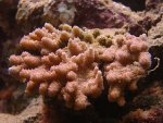 DSC00713.JPG