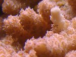 DSC00714.JPG