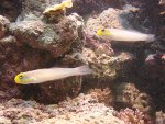 DSC00718.JPG