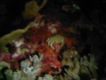 Foto's-0021.jpg
