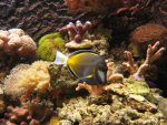 IMG_1494.jpg