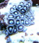 DSC01564.jpg