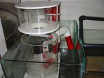 aqaurium 072.jpg