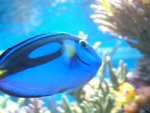 01.JPG